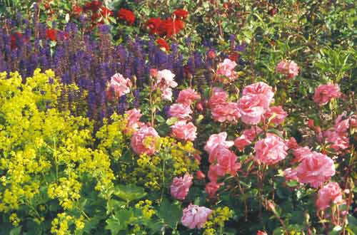 Die Königin in ihrem Hofstaat