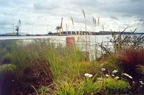 Blick von den schwimmenden Gärten über die Warnow