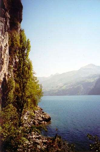 Zu Beginn der Wanderung nach Quinten am Nordufer des Walensee, kurz hinter Weesen